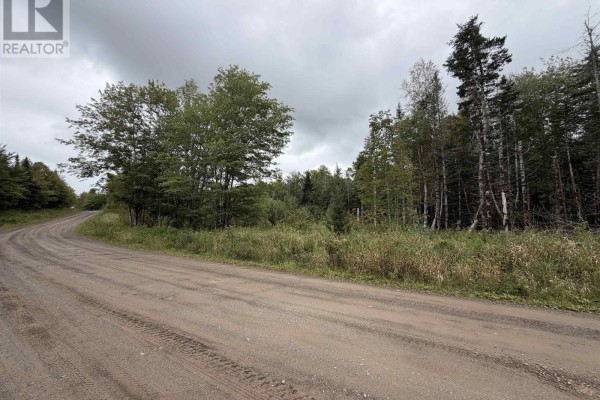 View of undeveloped land with evergreen trees and underbrush along a gravel road. - Sibley Road, Glenmore
