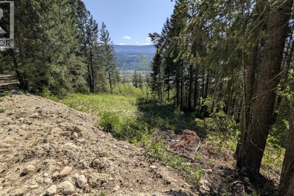 Wooded slope with dirt pile in foreground and a valley visible through trees. - Site #12, 13 , 14, 3483 Highway 95, Out Of Province_alberta