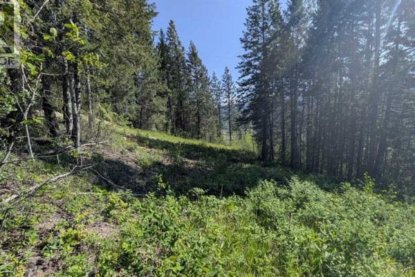 Sloped terrain with green vegetation and tall pine trees, overlooking a distant landscape. - Site #12, 13 , 14, 3483 Highway 95, Out Of Province_alberta