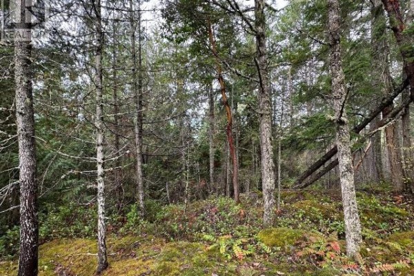 Sl 1-9660 Roots Way, Powell River, BC V0N2G0 Photo 4