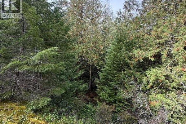 Sl 1-9660 Roots Way, Powell River, BC V0N2G0 Photo 5