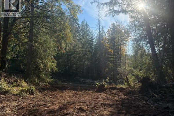 Sl 2-9660 Roots Way, Powell River, BC V0N2G0 Photo 4