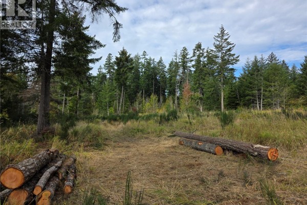 Cleared area within a forest with cut logs and dry grass under a partly cloudy sky. - Sl 2 Grandview Rd, Port Alberni