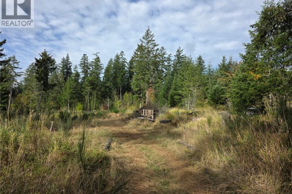 Clearing in a forest with tall evergreen trees and dry grass under a partly cloudy sky. - Sl 3 Grandview Rd, Port Alberni
