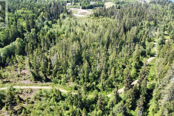 Sl 4 4275 Island Hwy S, Campbell River, BC V9H1B7 Photo 4