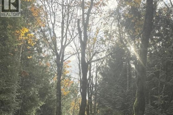 Sl 5-9660 Roots Way, Powell River, BC V0N2G0 Photo 4