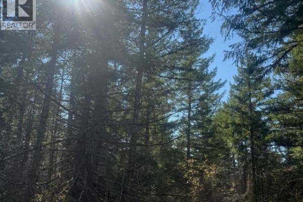 Sl 6-9660 Roots Way, Powell River, BC V0N2G0 Photo 5