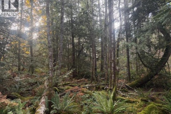 Sl 7-9660 Roots Way, Powell River, BC V0N2G0 Photo 5