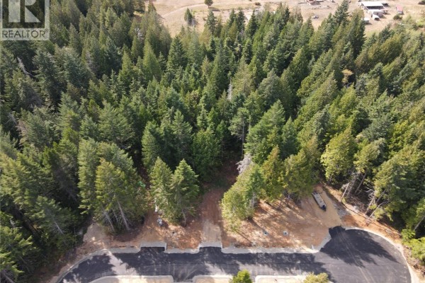 Overhead drone shot showing a winding paved road through a forest. - Sl2 Essex Way, Qualicum Beach