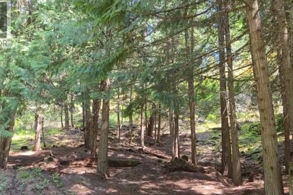 Snider Road Lot# B, Lister, BC V0B1G2 Photo 5
