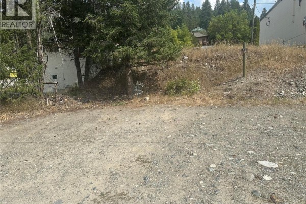 South Government Street, Greenwood, BC V0H1J0 Photo 4