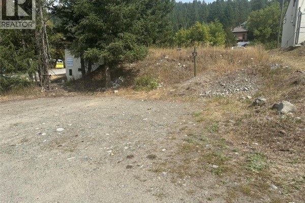 South Government Street, Greenwood, BC V0H1J0 Photo 5