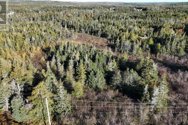 South Shore Road, Mitchell Bay, NS B0J2K0 Photo 3