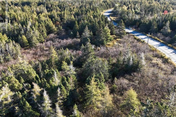 South Shore Road, Mitchell Bay, NS B0J2K0 Photo 5