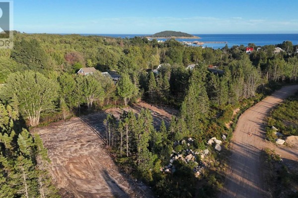 Aerial view of cleared lots, trees, houses, and a distant coastline. - Spruce Lane, Ingonish