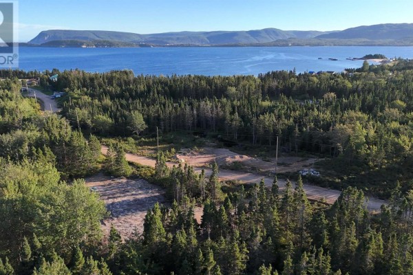Aerial view of forested land with cleared areas and a distant bay view. - Spruce Lane, Ingonish