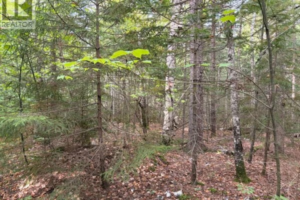 Steeves Lot Green Road, Elgin, NB E4T1T6 Photo 3