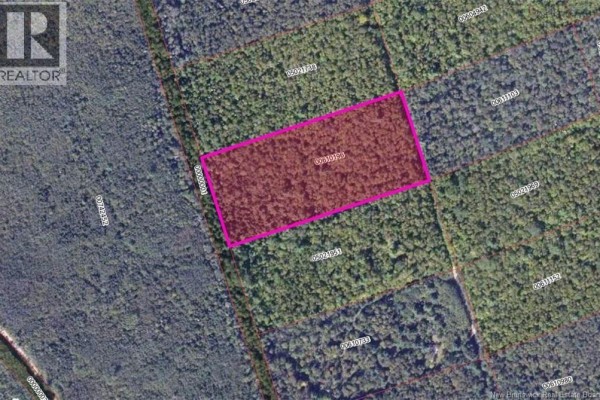 Steeves Lot Green Road, Elgin, NB E4T1T6 Photo 4