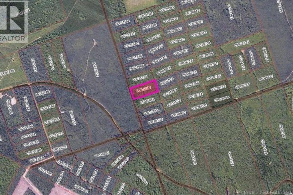 Steeves Lot Green Road, Elgin, NB E4T1T6 Photo 5