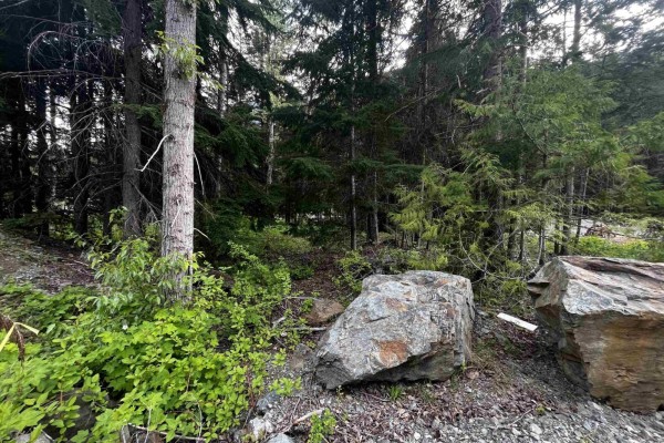 Sve25 Old Hope Princeton Highway, Sunshine Valley, Sunshine Valley, BC V0X1L5 Photo 3