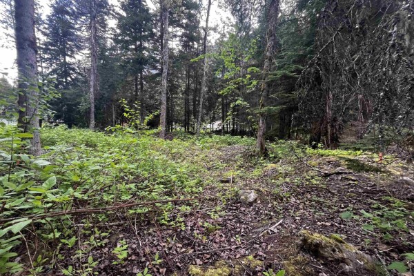 Sve25 Old Hope Princeton Highway, Sunshine Valley, Sunshine Valley, BC V0X1L5 Photo 4