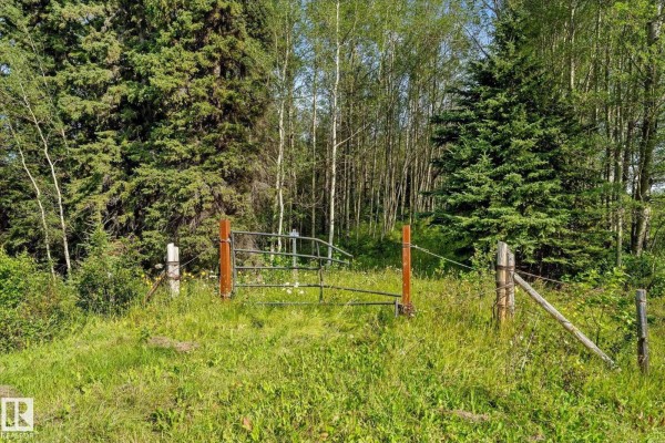 Sw 14-46-3-w5m Hwy 13, Rural Wetaskiwin County, AB, photo 2