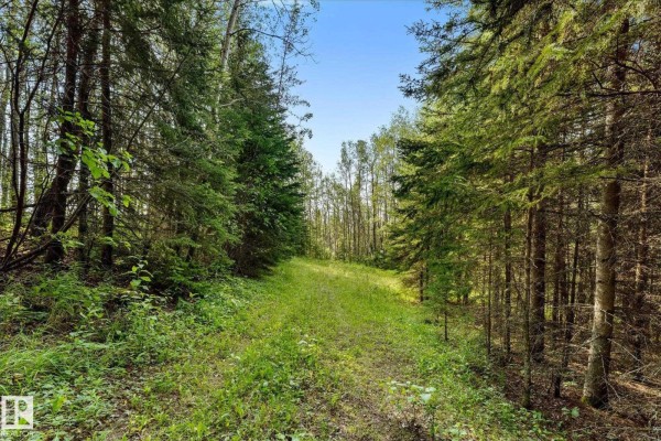 Sw 14-46-3-w5m Hwy 13, Rural Wetaskiwin County, AB, photo 3