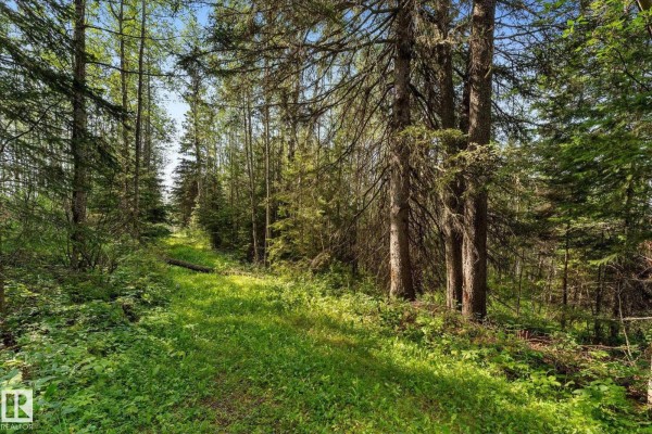 Sw 14-46-3-w5m Hwy 13, Rural Wetaskiwin County, AB T0C2T0 Photo 4