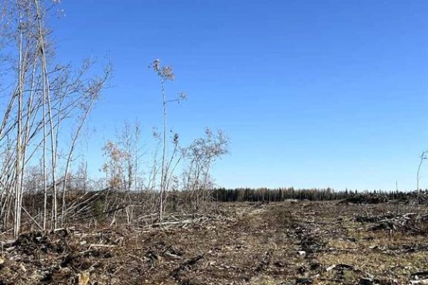 Sw 16-83-2-w6, Rural Clear Hills County, AB T0H0J0 Photo 2