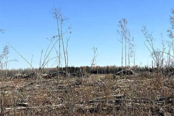 Sw 16-83-2-w6, Rural Clear Hills County, AB T0H0J0 Photo 3