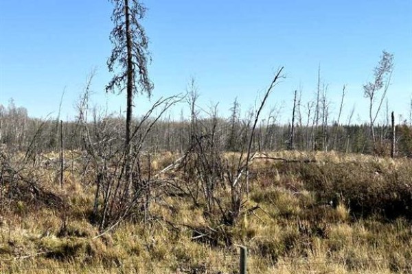 Sw 16-83-2-w6, Rural Clear Hills County, AB T0H0J0 Photo 4
