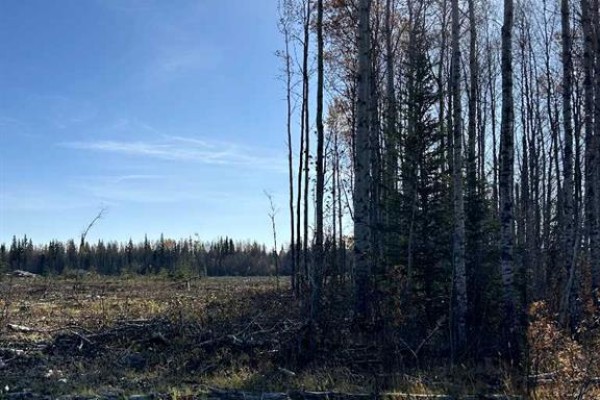 Sw 16-83-2-w6, Rural Clear Hills County, AB T0H0J0 Photo 5