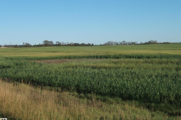 Sw-23-57-16 W 4th, Rural Lamont County, AB T0B0C0 Photo 3