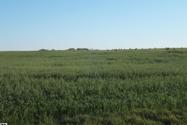 Sw-23-57-16 W 4th, Rural Lamont County, AB T0B0C0 Photo 4