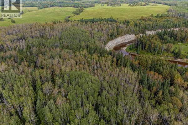 Sw-29-49-5-w5, Rural Brazeau County, AB T0C1W0 Photo 4