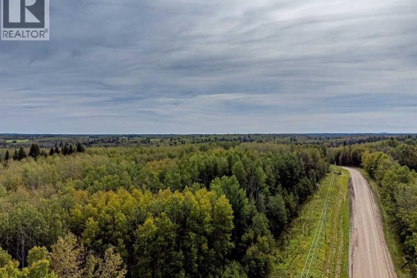 Sw-29-49-5-w5, Rural Brazeau County, AB T0C1W0 Photo 5