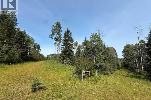 Sw15-twp 31-rge6 W5, Rural Mountain View County, AB T0M0M0 Photo 4