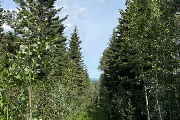Sw15-twp 31-rge6 W5, Rural Mountain View County, AB T0M0M0 Photo 5