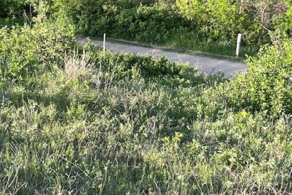Tatanka Drive Lot, South Lake, SK S0H4C0 Photo 2