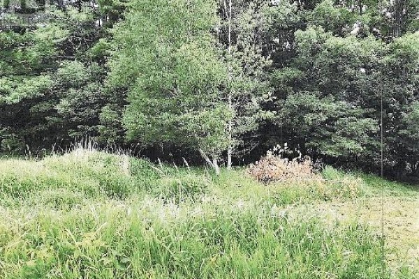 Tbd Doc Strain Drive, Gore Bay, ON P0P1H0 Photo 4