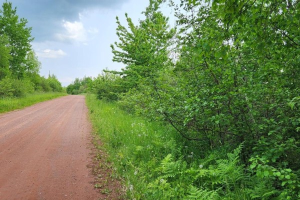 Tbd Hebron Road, Milo, PE C0B1V0 Photo 4