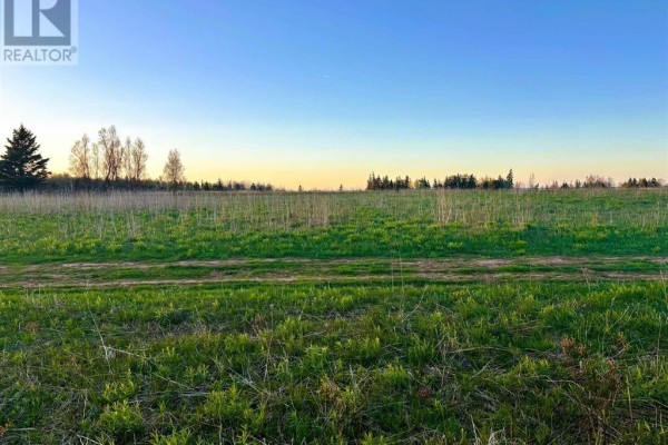 Flat, green grassy field with a dirt track and trees bordering the background. - Tbd Lot Panmure Island Road, Panmure Island