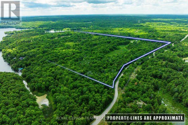 Tbd Scott Lane, Rideau Lakes, ON K0G1V0 Photo 4