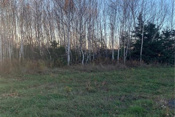 Terrain 0,28 Acres Route 135, Duguayville, NB E8M1K2 Photo 2