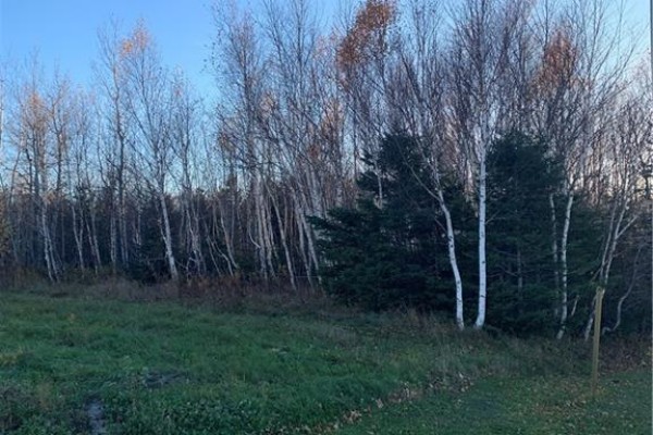 Terrain 0,28 Acres Route 135, Duguayville, NB E8M1K2 Photo 5