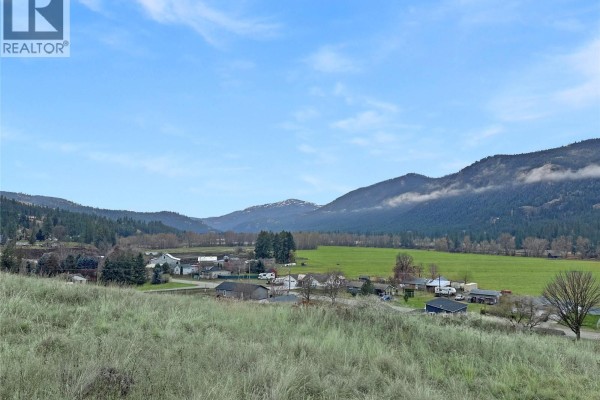 Thomet Avenue Lot# Lot A, Midway, BC V0H1M0 Photo 4