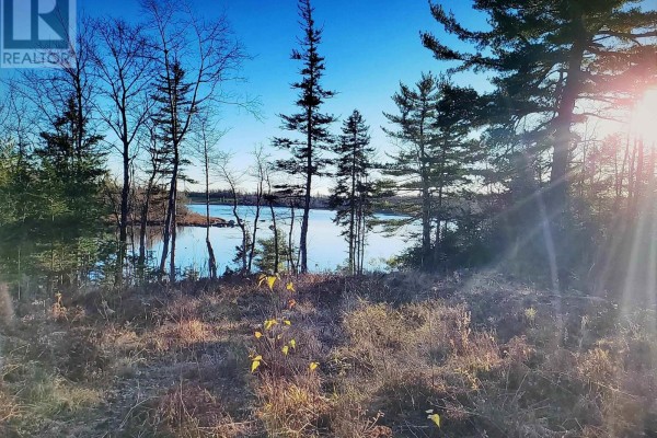 Cleared area with grass and trees, overlooking the lake at sunset. - Thorne Road, West Dalhousie