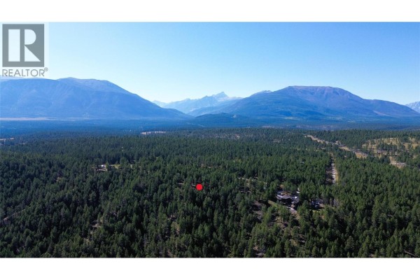 Toby Ridge Road, Invermere, BC V0A1K5 Photo 4