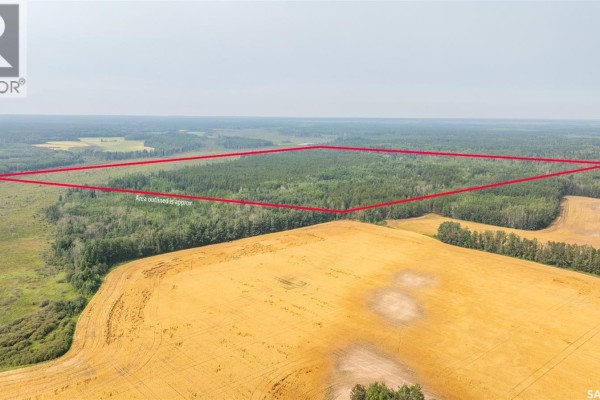 Torch River Land, Torch River Rm No  488, SK, photo 3