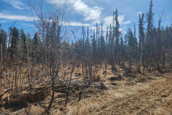 #township Road 575 And Range Road 173, Rural Lamont County, AB T0B4B0 Photo 5